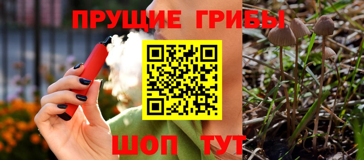 Галлюциногенные грибы мицелий Канаш