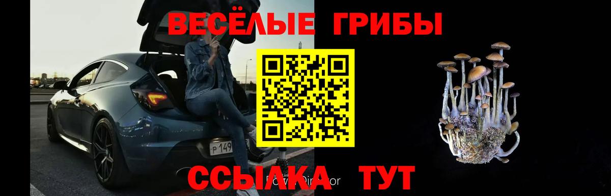 Псилоцибиновые грибы Cubensis  Вход с VPN  Канаш 